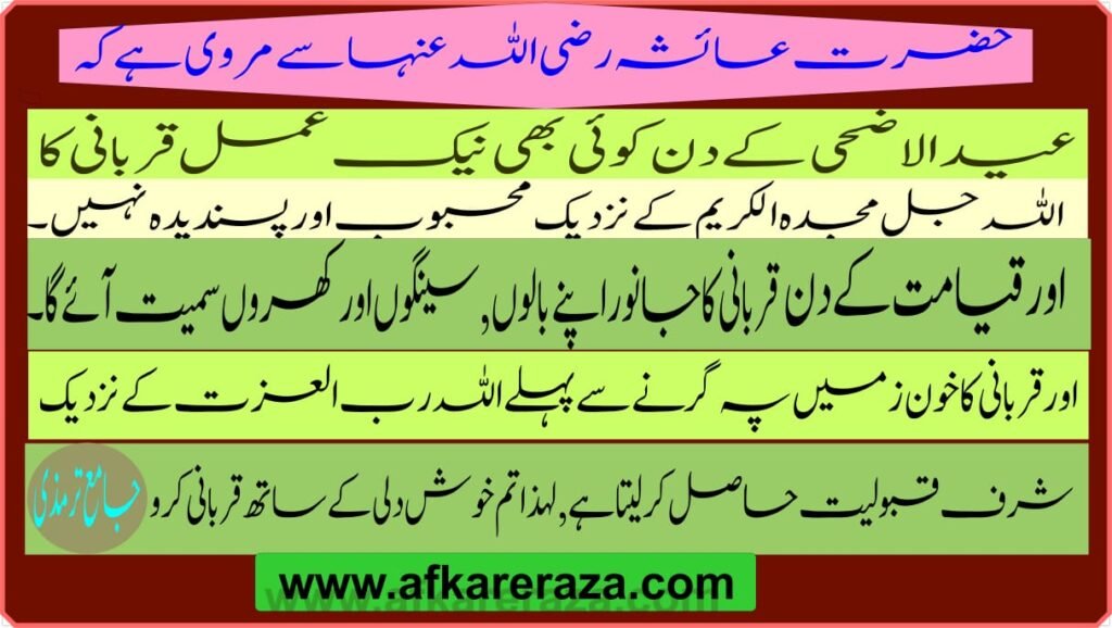 کاش ہر مومن آسانی سے سمجھ لیتا