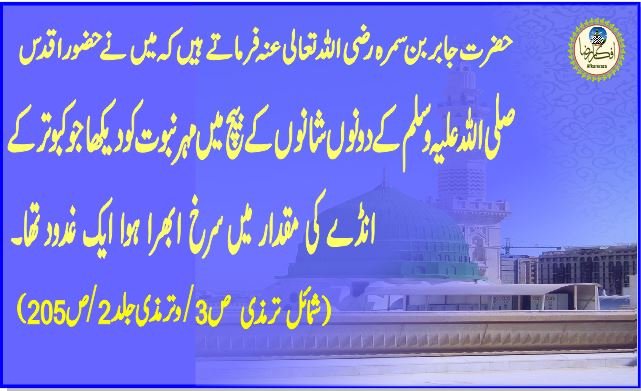 حضور نبی کریم ﷺ کے شمائل و خصائل