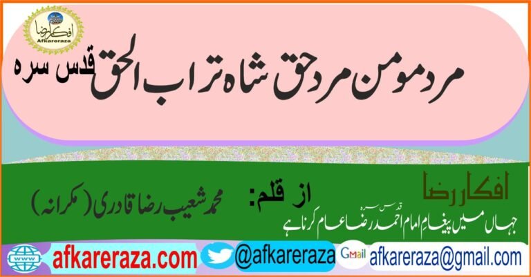 مرد مومن مرد حق شاہ تراب الحق