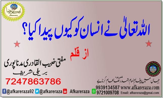اللہ تعالیٰ نے انسان کو کیوں پیدا کیا