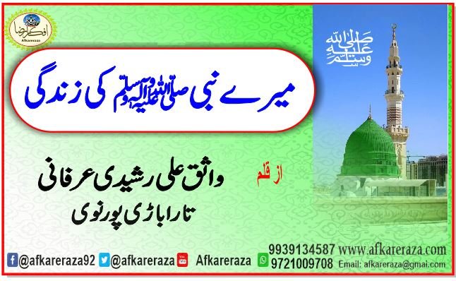 میرے نبی ﷺ کی زندگی