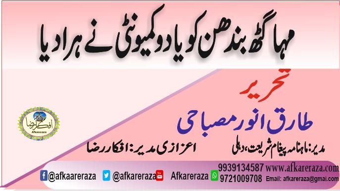 مہاگٹھ بندھن کو یادو برادری  نے ہرادیا