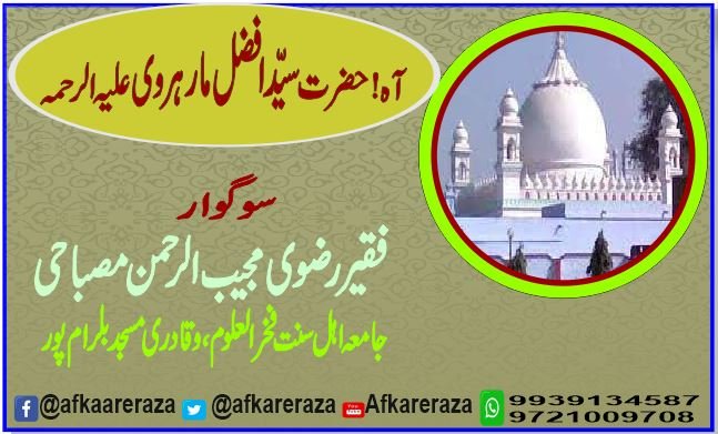 آہ سید افضل مارہروی علیہ الرحمہ
