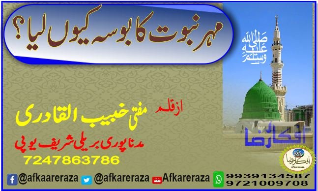 مہر نبوت کا بوسہ کیوں لیا