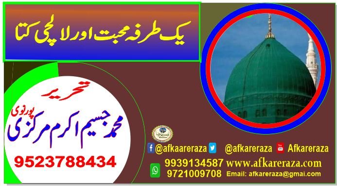 یک طرفہ محبت اور لالچی کتا