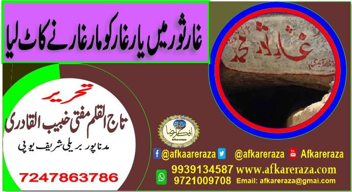 غار ثور میں یار غار کو مار غار نے کاٹ لیا