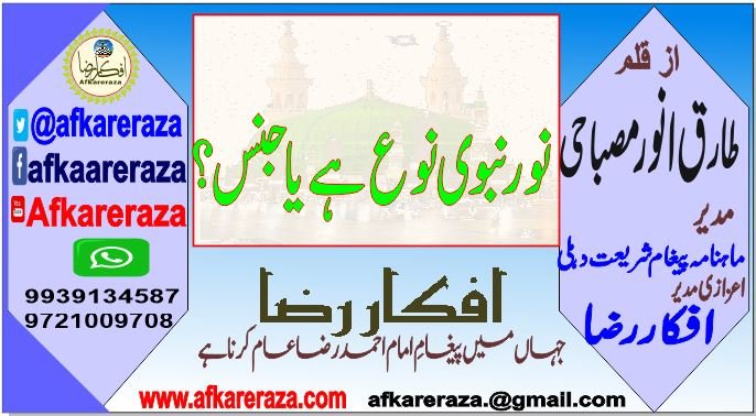 نور نبوی نوع ہے یا جنس