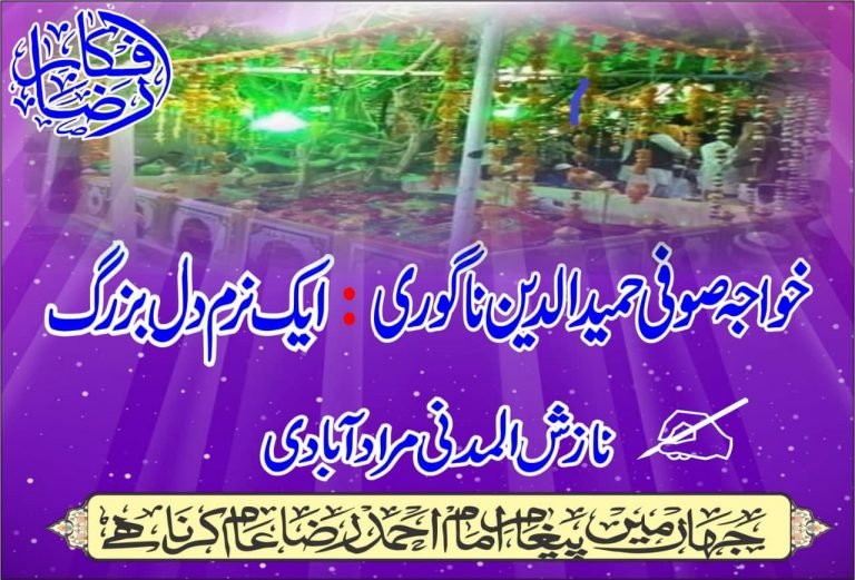 خواجہ صوفی حمید الدین ناگوری ایک نرم دل بزرگ